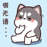 哈士奇小胖          