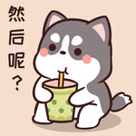 哈士奇小胖          