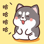 哈士奇小胖          