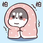 哈士奇小胖          