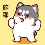 哈士奇小胖          