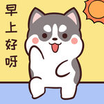 哈士奇小胖          