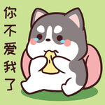 哈士奇小胖          