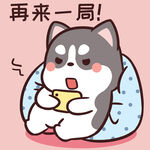 哈士奇小胖          