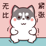 哈士奇小胖          