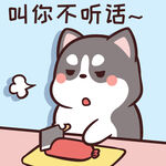 哈士奇小胖          