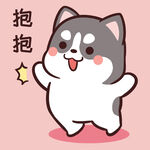 哈士奇小胖          
