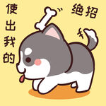 哈士奇小胖          
