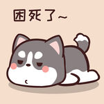 哈士奇小胖          