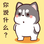 哈士奇小胖          