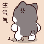 哈士奇小胖          