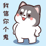 哈士奇小胖          