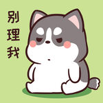哈士奇小胖          