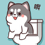 哈士奇小胖          