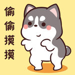 哈士奇小胖          