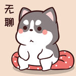 哈士奇小胖          