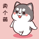 哈士奇小胖          