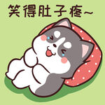 哈士奇小胖          