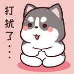 哈士奇小胖          