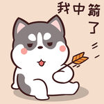 哈士奇小胖          
