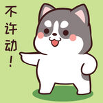 哈士奇小胖          