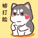 哈士奇小胖          