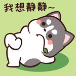 哈士奇小胖          
