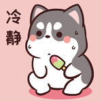 哈士奇小胖          