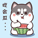哈士奇小胖          