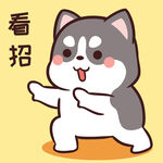 哈士奇小胖          