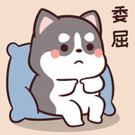 哈士奇小胖          
