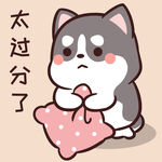 哈士奇小胖          