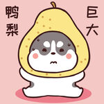 哈士奇小胖          