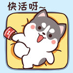 哈士奇小胖          