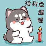 哈士奇小胖          
