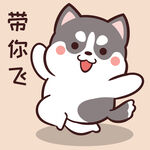 哈士奇小胖          