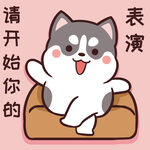 哈士奇小胖          