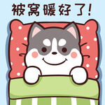 哈士奇小胖          