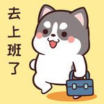哈士奇小胖          