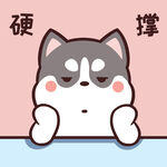 哈士奇小胖          