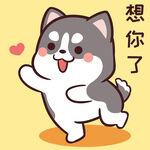 哈士奇小胖          