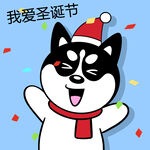 哈小齐圣诞          