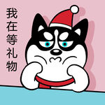 哈小齐圣诞          