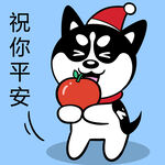 哈小齐圣诞          
