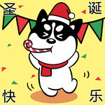 哈小齐圣诞          