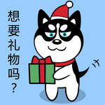 哈小齐圣诞          