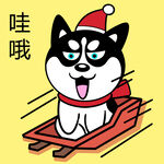 哈小齐圣诞          