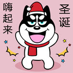 哈小齐圣诞          