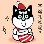 哈小齐圣诞          