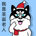 哈小齐圣诞          
